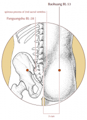 3 cun lateral to the midline, at the level of the spinous process of the second sacral vertebra.