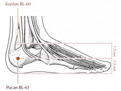 On the lateral side of the foot, 1.5 cun inferior to BL-60, in a tender depression on the calcaneum.