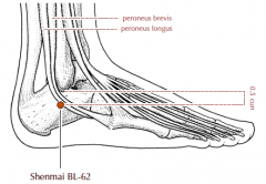 On the lateral side of the foot, approximately 0.5 cun inferior to the inferior border of the lateral malleolus, in a depression posterior to the peroneal tendons.