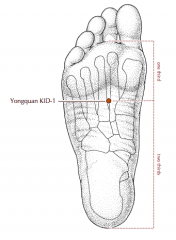 On the sole of the foot, between the second and third metatarsal bones, approximately one third of the distance between the base of the second toe and the heel, in a depression formed when the foot is plantar flexed.
