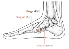 On the medial side of the foot, distal and inferior to the medial malleolus, in the depression distal and inferior to the navicular tuberosity.