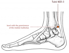 In the depression between the medial malleolus and the Achilles tendon, level with the prominence of the medial malleolus.