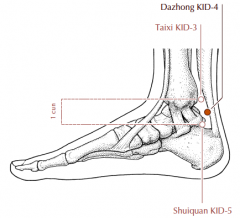 Approximately 0.5 cun posterior to the midpoint of the line drawn between Kd-3 and Kd-5, on the anterior border of the Achilles tendon.