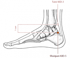 1 cun inferior to KD-3 in a depression anterior and superior to the calcaneal tuberosity (the site of the insertion of the Achilles tendon into the calcaneum).
