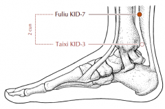 On the medial aspect of the lower leg, in the depression 2 cun superior to Kd-3, on the anterior border of the Achilles tendon.