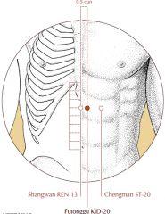 On the upper abdomen, 5 cun above the umbilicus, 0.5 cun lateral to the midline.