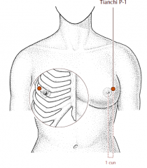 1 cun lateral and slightly superior to the nipple, in the fourth intercostal space.