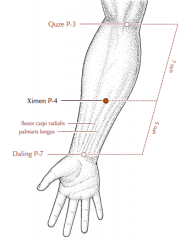 On the flexor aspect of the forearm, 5 cun proximal to P-7, on the line connecting P-7 and P-3, between the tendons of palmaris longus and flexor carpi radialis.