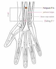 On the flexor aspect of the forearm, 2 cun proximal to P-7, between the tendons of palmaris longus and flexor carpi radialis.
