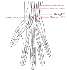 At the wrist, between the tendons of palmaris longus and flexor carpi radialis, level with Ht-7.