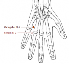 On the dorsum of the hand, in the depression just proximal to the fourth and fifth metacarpophalangeal joints.