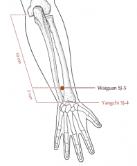 2 cun proximal to SJ-4, in the depression between the radius and the ulna, on the radial side of the extensor digitorum communis tendons.