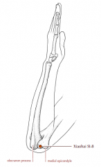 4 cun proximal to SJ-4, in the depression between the radius and the ulna, on the radial side of the extensor digitorum communis muscle.