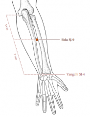 In the depression between the radius and the ulna, on a line drawn between SJ-4 and the lateral epicondyle of the humerus, 7 cun proximal to SJ-4.