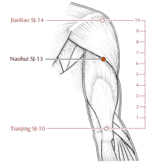 On the upper arm, where the line drawn between SJ-10 and SJ-14 meets the posterior border of the deltoid muscle, approximately two thirds of the distance between these two points.