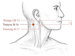 On the posterior border of the sternocleidomastoid muscle, approximately 1 cun inferior to GB-12, on a line drawn between BL-10 and SI-17.