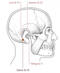 Posterior to the ear, in a small depression on the mastoid bone, one third of the distance along a curved line drawn from SJ-17 to SJ-20 following the line of the rim of the ear.