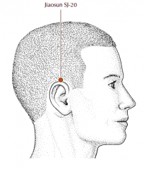On the side of the head, directly level with the apex of the ear when the ear is folded forward.