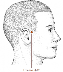 Approximately 0.5 cun anterior to the upper border of the root of the ear, in a slight depression on the posterior border of the hairline of the temple.