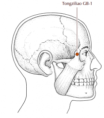 In the hollow on the lateral side of the orbital margin, approximately 0.5 cun lateral to the outer canthus.
