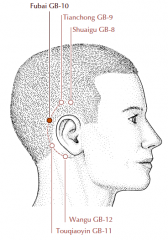 Posterior to the ear, along a curved line drawn from GB-9 to GB-12 running within the hairline and more or less parallel to the line of the rim of the ear, in a depression about one third of the distance between GB-9 and GB-12.
