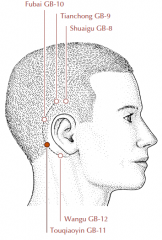 Posterior to the ear, along a curved line drawn from GB-9 to GB-12 running within the hairline and more or less parallel to the line of the rim of the ear, in a depression slightly greater than two thirds of the distance between GB-9 and GB-12.