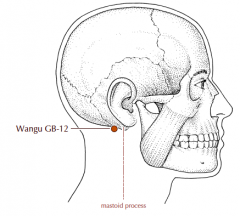 In the depression just posterior and inferior to the mastoid process.