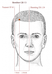 On the forehead, 0.5 cun within the hairline, two thirds of the distance between Du-24 and St-8.