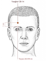 On the forehead, 1 cun superior to the middle of the eyebrow, directly above the pupil when the eyes are looking straight ahead.