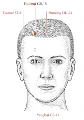 On the forehead, directly above GB-14, 0.5 cun within the anterior hairline, midway between Du-24 and St-8.