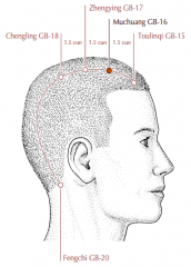 Above the forehead, on a curved line drawn between GB-15 and GB-20, following the contour of the cranium, 1.5 cun posterior to GB-15.