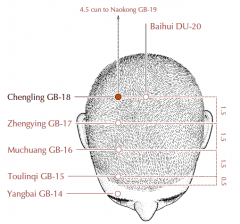 In the parietal region, on a curved line drawn between GB-15 and GB-20, following the contour of the cranium, 1.5 cun posterior to GB-17.