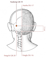 In the occipital region, directly above GB-20, level with Du-17.