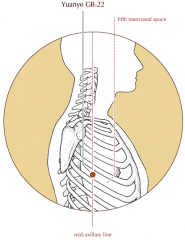 On the mid-axillary line, in the fifth intercostal space, approximately 3 cun inferior to the apex of the axilla, at the level of the nipple.