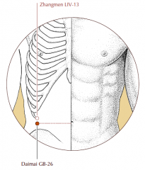 Directly below Liv-13 (anterior and inferior to the free end of the 11th rib), level with the umbilicus.