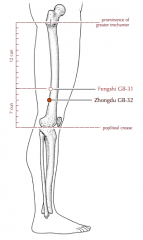 On the lateral aspect of the thigh, 2 cun inferior to GB-31.