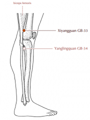 On the lateral aspect of the knee, in the depression above the lateral epicondyle of the femur, between the femur and the tendon of biceps femoris.