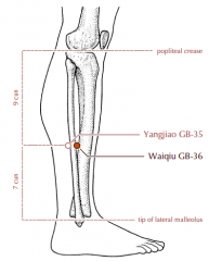On the lateral aspect of the lower leg, 7 cun superior to the prominence of the lateral malleolus, at the anterior border of the fibula.