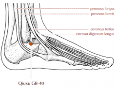 At the ankle joint, in the depression anterior and inferior to the lateral malleolus.