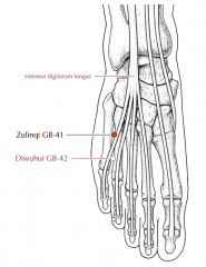 In the depression distal to the junction of the 4th and fifth metatarsal bones, on the lateral side of the tendon of m. extensor digitorum longus (branch to little toe).