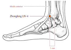 On the ankle, anterior to the prominence of the medial malleolus, in the significant depression just medial to the tendon of tibialis anterior when the ankle is extended (dorsiflexed).