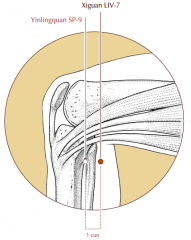 Posterior and inferior to the medial condyle of the tibia, 1 cun posterior to Sp-9.