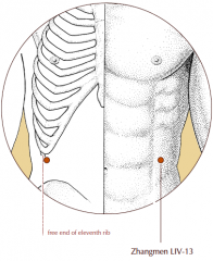 Directly anterior and inferior to the free end of the 11th rib.