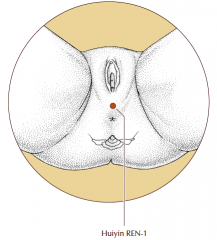 At the perineum, midway between the anus and the scrotum in men, and the anus and the posterior labial commissure in women.