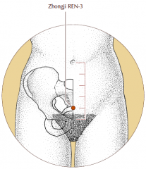 On the midline of the lower abdomen, 4 cun inferior to the umbilicus and 1 cun superior to the pubic symphysis.