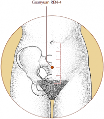 On the midline of the lower abdomen, 3 cun inferior to   the umbilicus and 2 cun superior to the pubic symphysis.