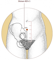 On the midline of the lower abdomen, 2 cun inferior to the umbilicus and 3 cun superior to the pubic symphysis.