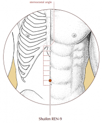 On the midline of the abdomen,1 cun above the umbilicus and 7 cun below the sternocostal angle.