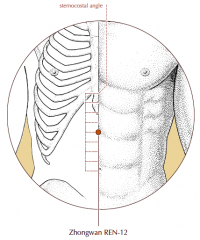 On the midline of the abdomen, 4 cun above the umbilicus and midway between the umbilicus and the sternocostal angle.