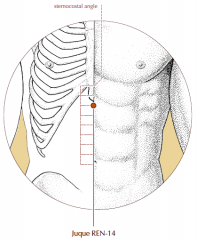 On the midline of the abdomen, 6 cun above the umbilicus and 2 cun below the sternocostal angle.